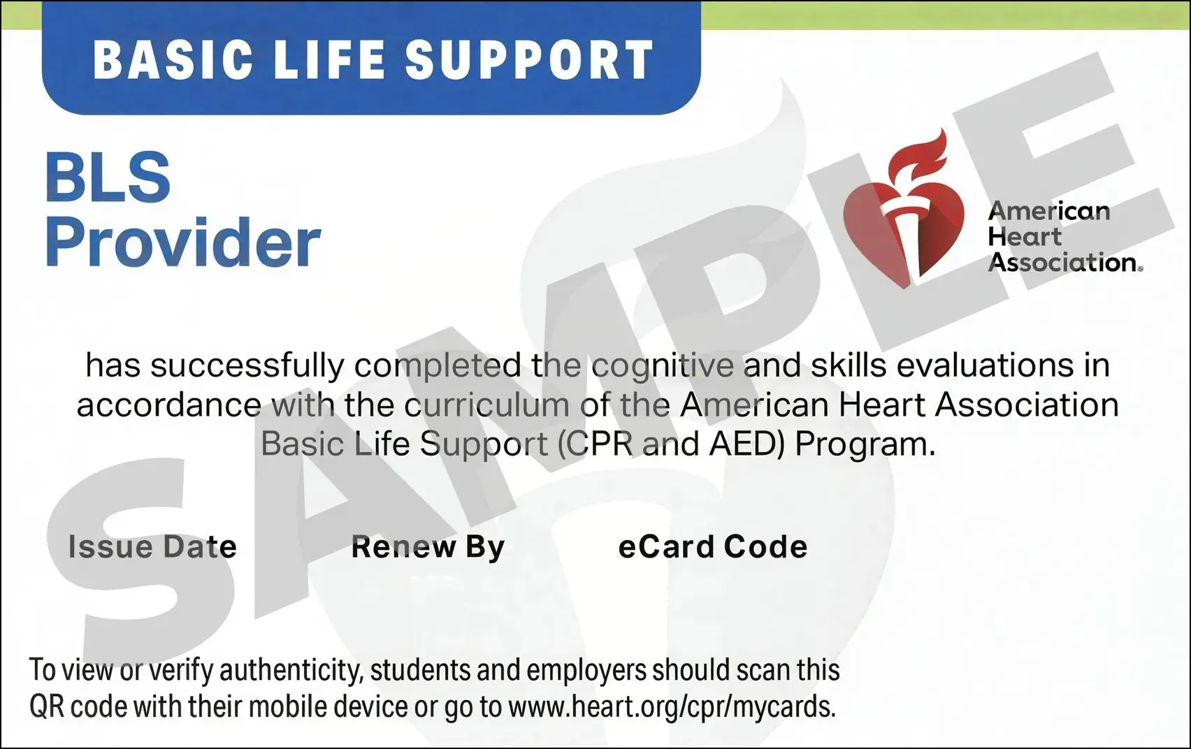 Sample American Heart Association AHA BLS CPR Card Certification from CPR Certification Charleston